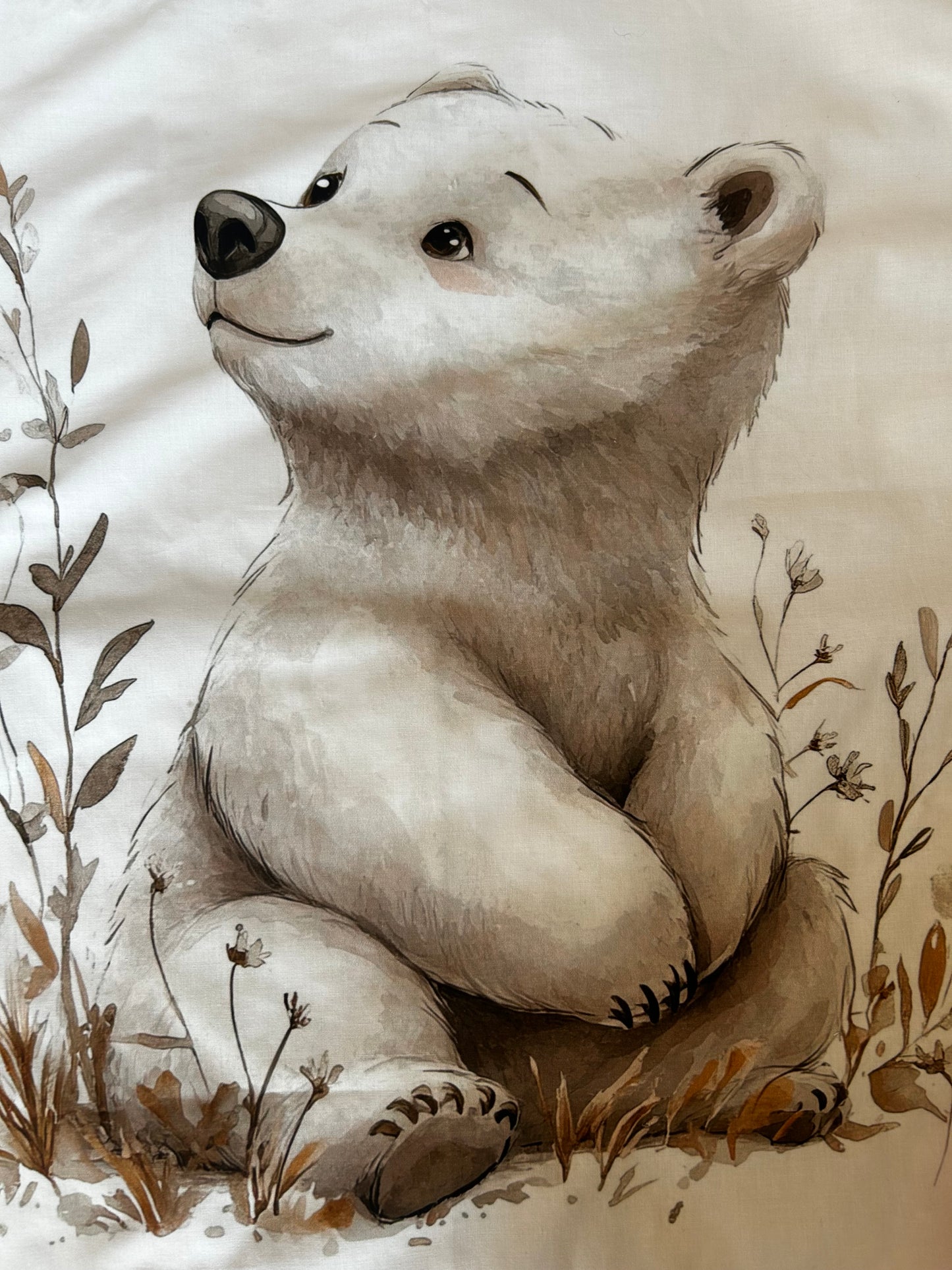 Couverture Ours